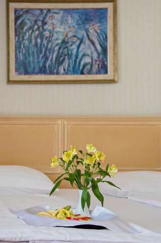 Отель Maison Sofia Hotel София Двухместный номер бизнес-класса с 2 отдельными кроватями-4
